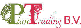 P T lan rading B.V.