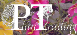 P T lan rading